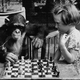 Illustration for article titled Great apes might be just as smart as humans after all
